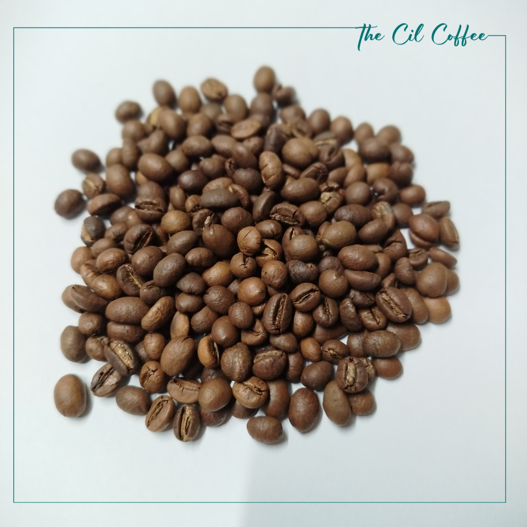 Sản phẩm nổi bật