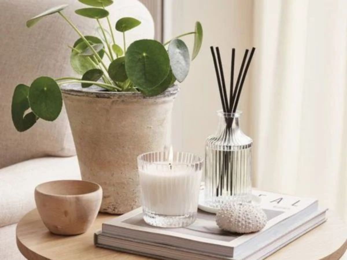 Giải Đáp Thắc Mắc Về Việc Sử Dụng Tinh Dầu Khuếch Tán An Toàn&Hiệu Quả