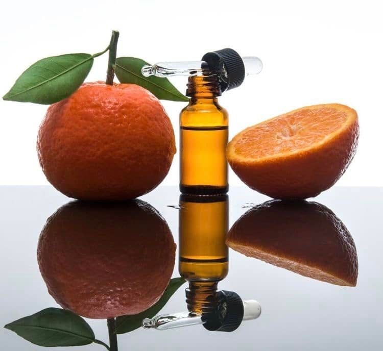 Nhóm hương Citrus - Phảng phất hương thơm ngày hè