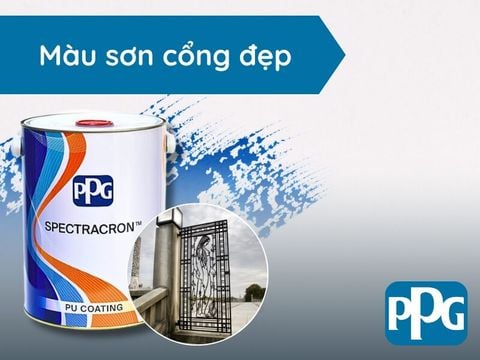 Cách lựa chọn màu sơn cổng đẹp và 4 điều cần lưu ý khi chọn màu sơn cổng