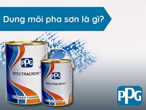 Dung môi pha sơn là gì? Công dụng, các loại dung môi phổ biến