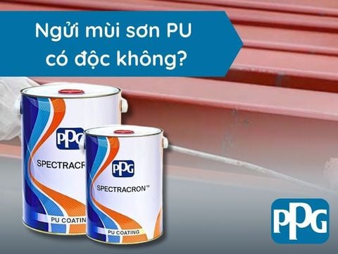 Ngửi mùi sơn PU có độc không?