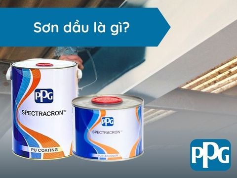 Sơn dầu là gì? Các loại sơn dầu phổ biến và ứng dụng thực tế