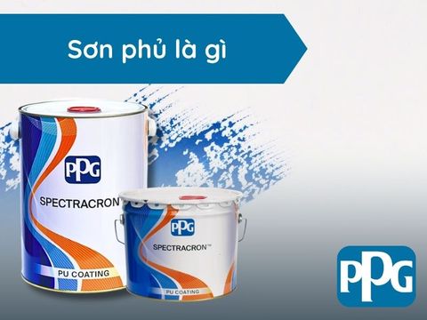 Sơn phủ: Vai trò, các phân loại, và yếu tố ảnh hưởng đến lớp phủ