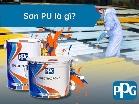 Sơn PU là gì? Các loại sơn PU và ứng dụng thực tế