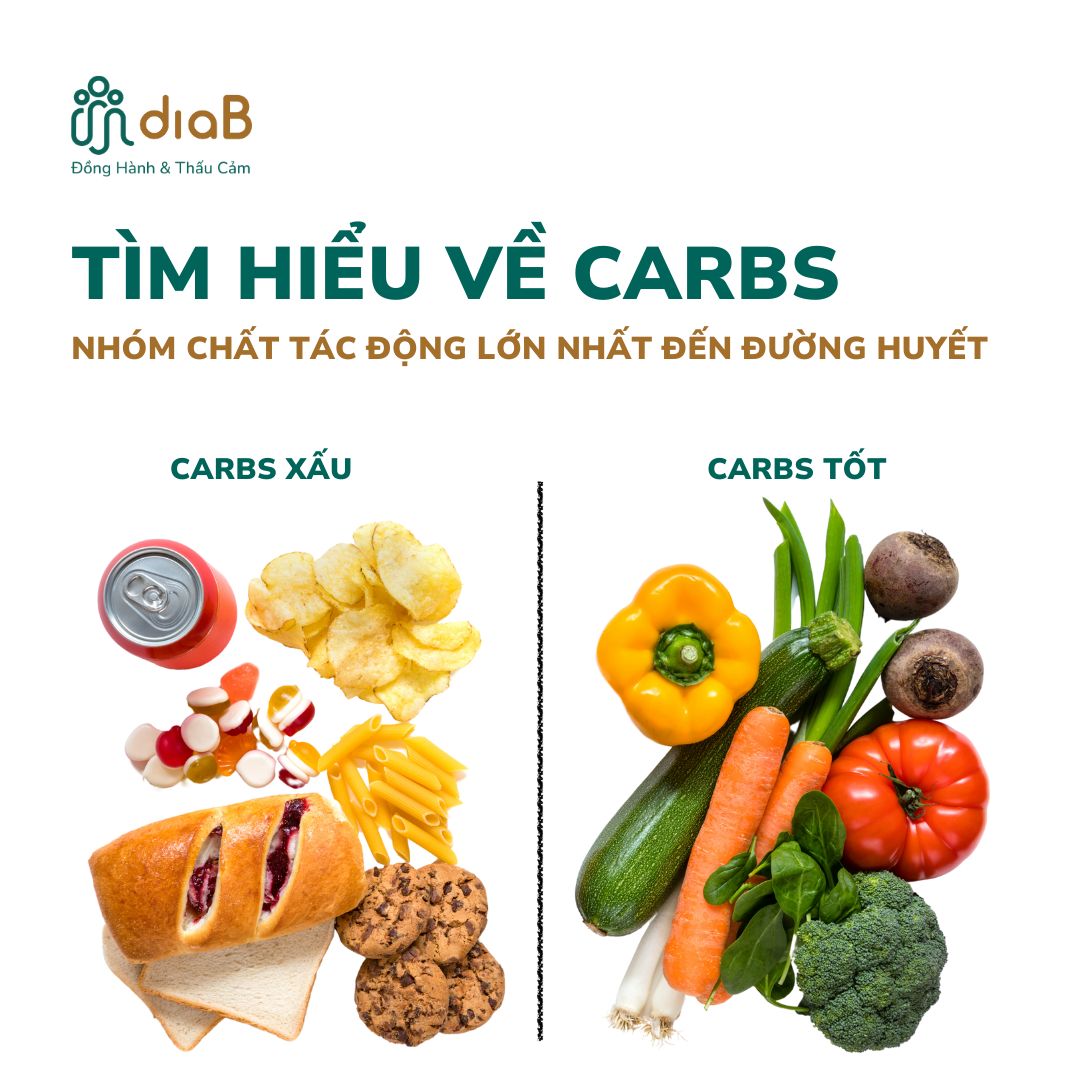 TÌM HIỂU VỀ CARBS - NHÓM CHẤT TÁC ĐỘNG LỚN NHẤT ĐẾN ĐƯỜNG HUYẾT