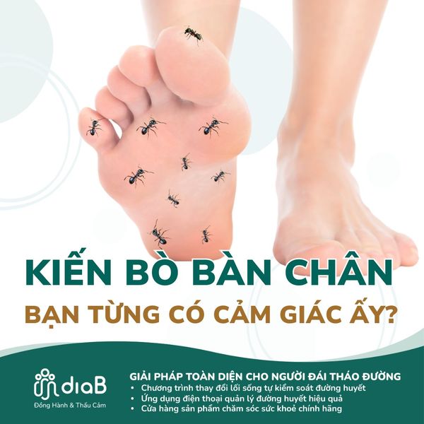 GIẢI MÃ CẢM GIÁC KIẾN BÒ BÀN CHÂN Ở NGƯỜI ĐÁI THÁO ĐƯỜNG