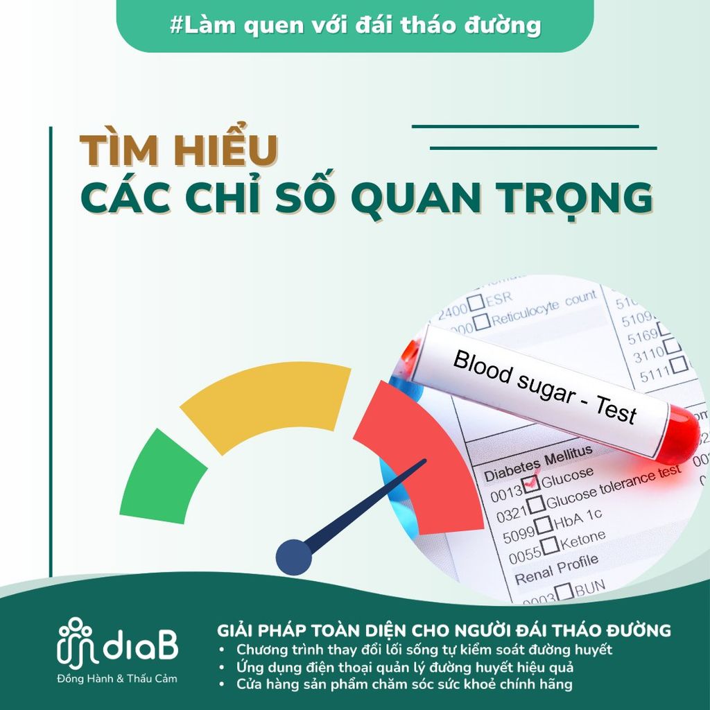 Tìm hiểu các chỉ số quan trọng