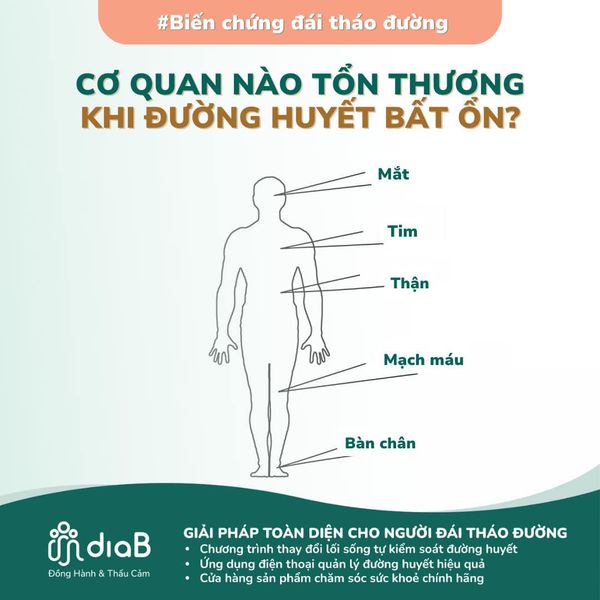 NHỮNG CƠ QUAN BỊ TỔN THƯƠNG KHI ĐƯỜNG HUYẾT BẤT ỔN