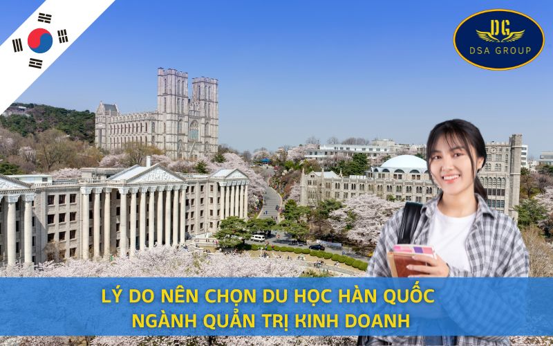 Lý Do Nên Chọn Du Học Hàn Quốc Ngành Quản Trị Kinh Doanh