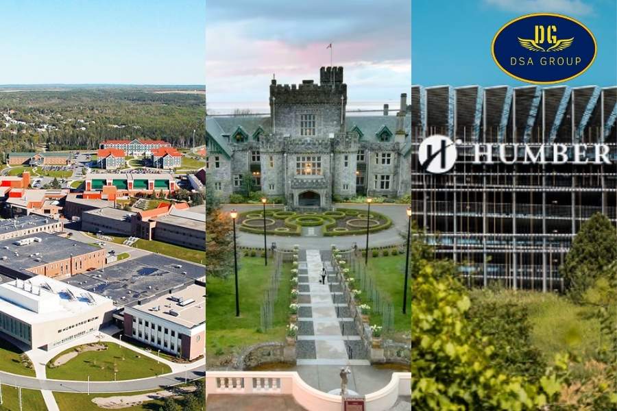 Du Học Canada Ngành Du Lịch: Lộ Trình Học Tập Và Cơ Hội Nghề Nghiệp