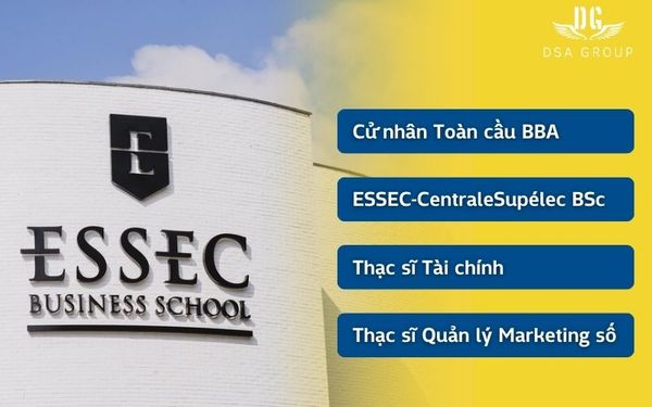 Khám Phá Trường Kinh Doanh ESSEC Business School - Pháp