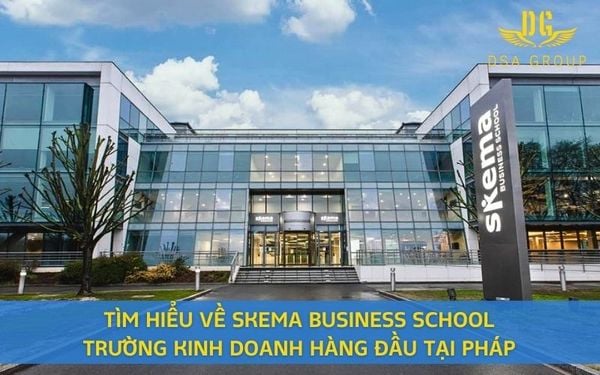 Tìm Hiểu Về SKEMA Business School - Trường Kinh Doanh Hàng Đầu Tại Pháp