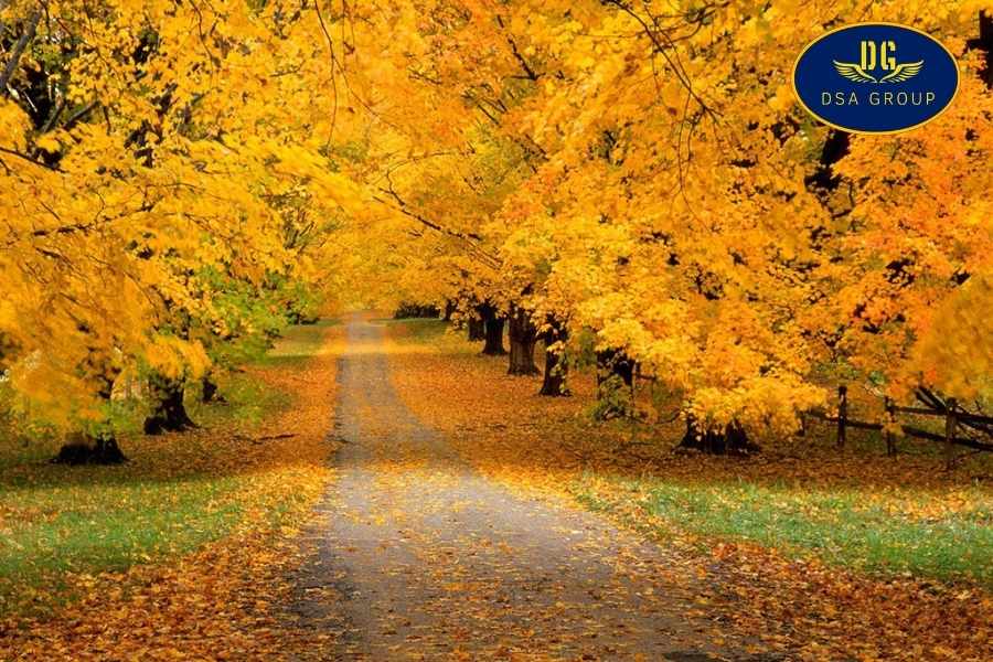 Những Điều Thú Vị Về Canada Có Thể Bạn Chưa Biết