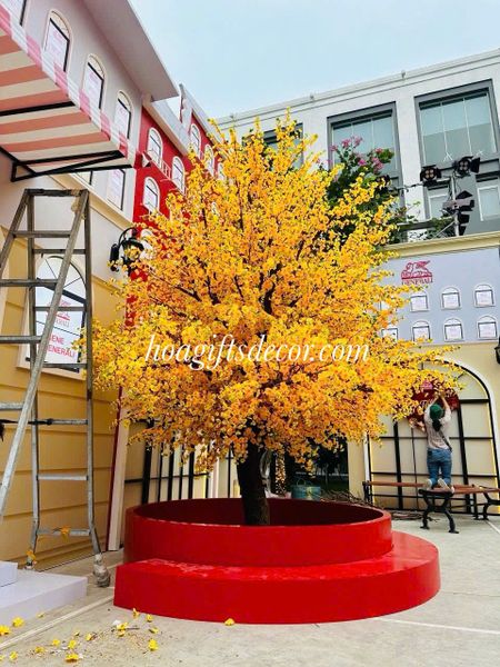 Cây hoa mai trang trí têt - hoa đào Nhật Bản - Thi công HCM