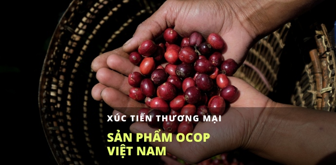 D-MARKET - Tiên phong xúc tiến thương mại sản phẩm OCOP Việt Nam