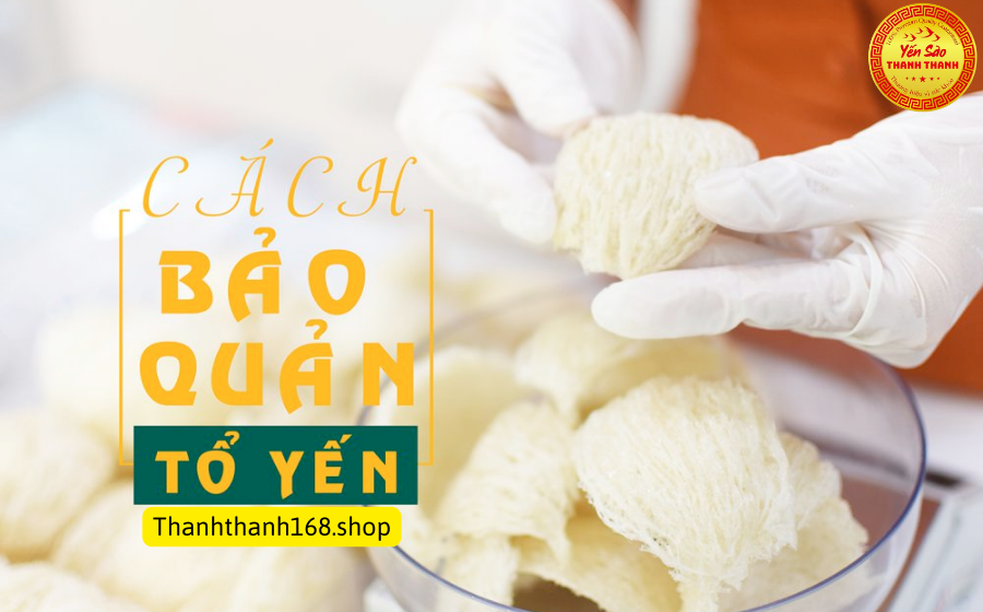 Mách bạn cách bảo quản tổ yến thô, yến tươi, yến chưa chưng và đã chưng