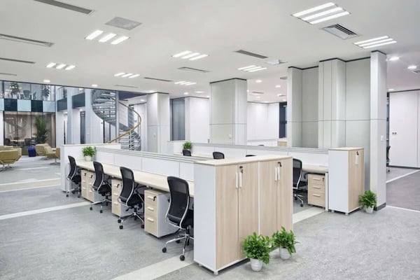 Trang trí văn phòng: Nguyên tắc cơ bản và một số ý tưởng decor độc đáo năm 2025