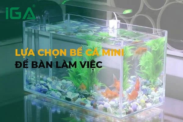 Top đặt bể cá mini để bàn làm việc hợp phong thủy, tài vận