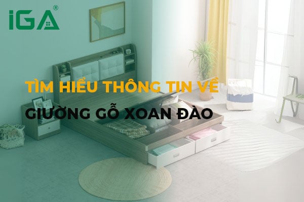 Có nên mua giường gỗ xoan đào? Chia sẻ thông tin bạn nên biết