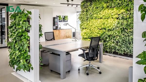 Bàn làm việc bền vững và thân thiện môi trường