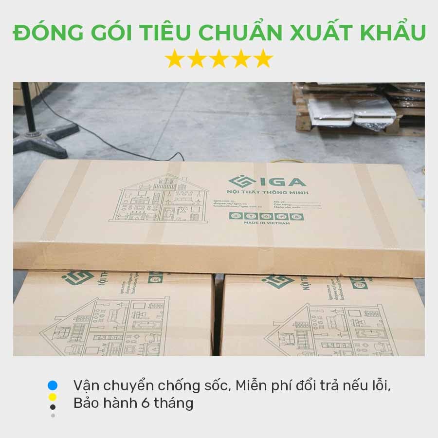 Hồ sơ năng lực IGA