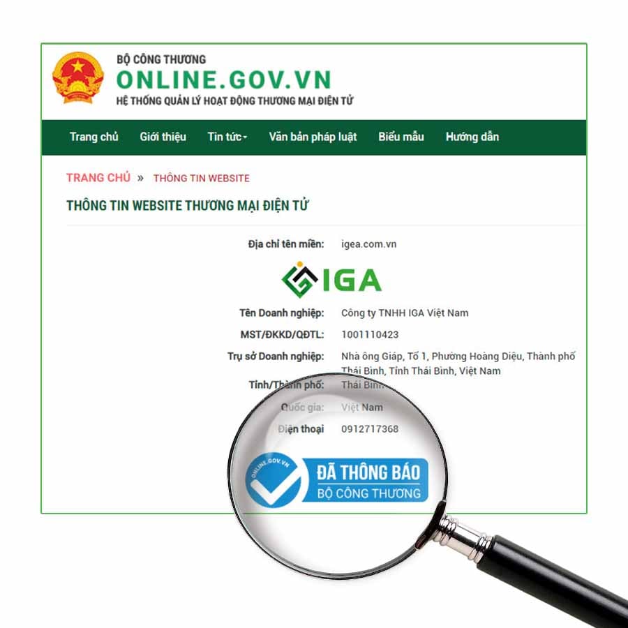 Hồ sơ năng lực IGA