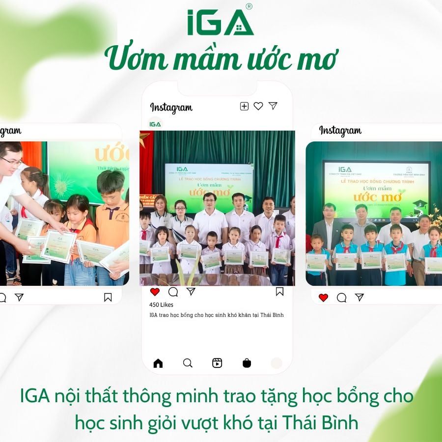 Hồ sơ năng lực IGA