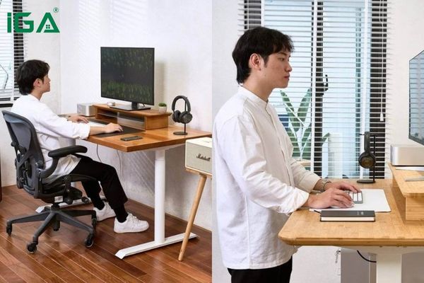 Bàn làm việc có kích thước phù hợp góp phần tạo nên sự đồng bộ và thẩm mỹ cho văn phòng