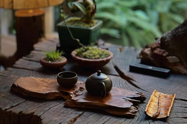 Bàn trà Biophilic cũng là lựa chọn tuyệt vời