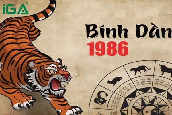 Tổng quan thông tin về tuổi Bính Dần