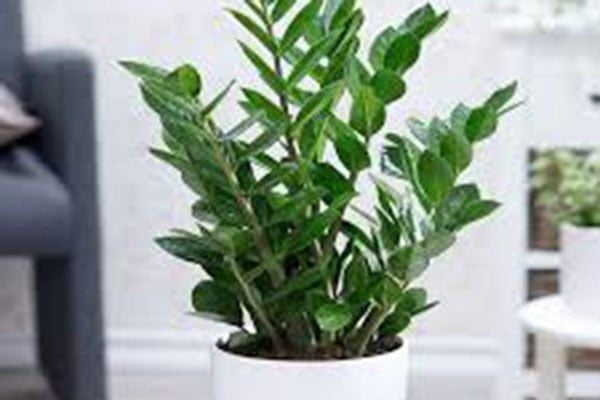Tránh để bàn làm việc bừa bộn