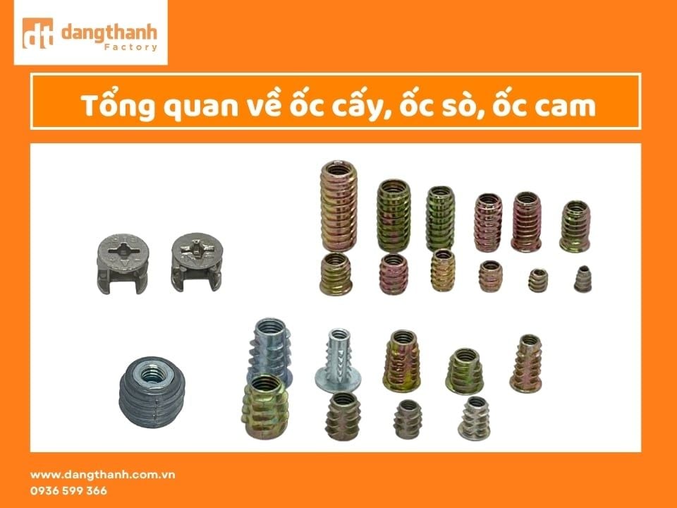 Ốc cấy, ốc sò, ốc cam là gì? Ứng dụng trong sản xuất