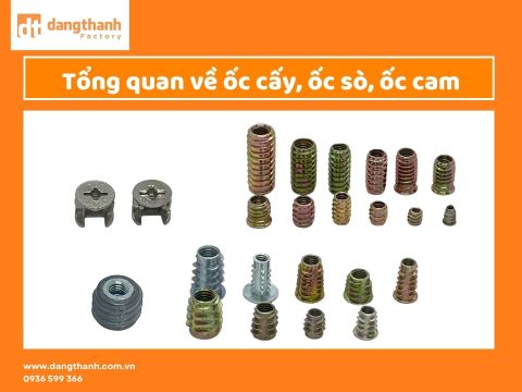 Ốc cấy, ốc sò, ốc cam là gì? Ứng dụng trong sản xuất