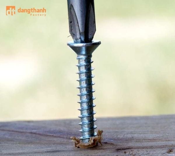 Long đền là gì