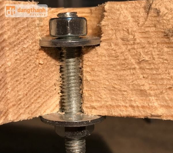 Nên sử dụng long đền không