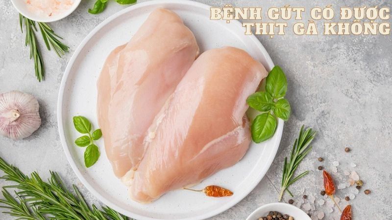 Bệnh gút có ăn được thịt gà không: Lời khuyên từ chuyên gia