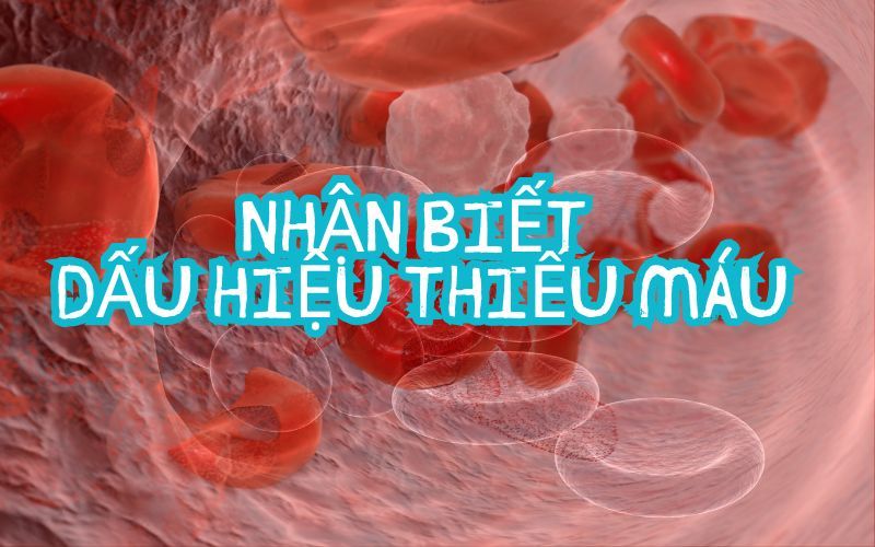 Dấu hiệu thiếu máu: Nhận biết và hành động kịp thời