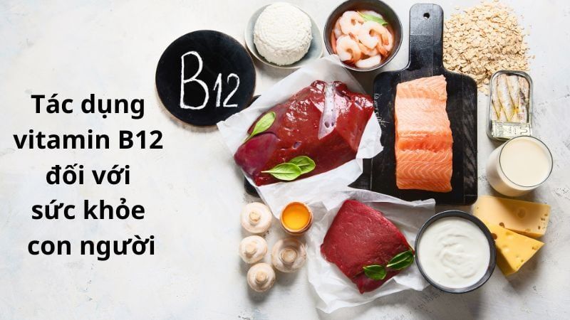 Tìm hiểu về tác dụng Vitamin B12 đối với sức khỏe