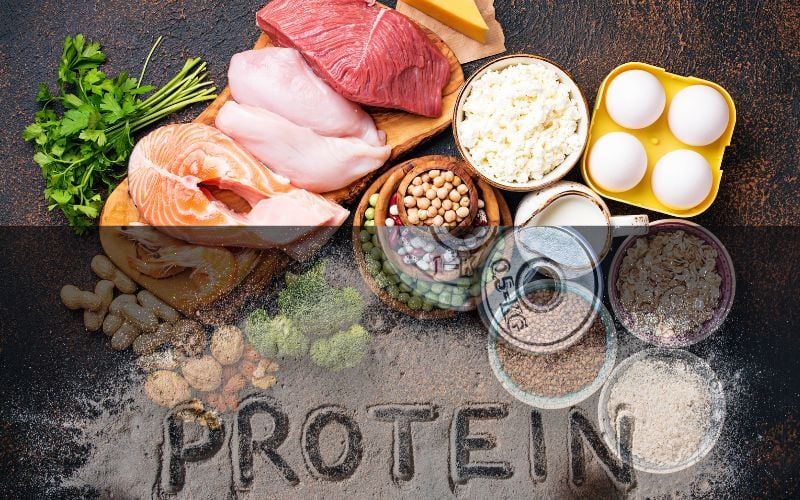 Protein có trong thực phẩm nào? Cùng tìm chuyên gia tìm hiểu