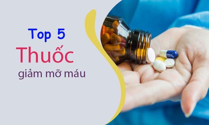 Top 5 thực phẩm chức năng, thuốc hạ mỡ máu an toàn hiệu quả