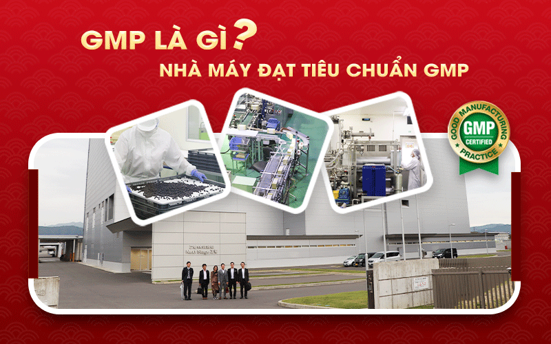 GMP là gì? Nhà máy đạt tiêu chuẩn GMP