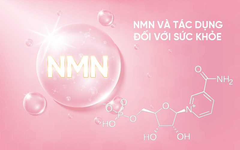 NMN và tác dụng đối với sức khỏe