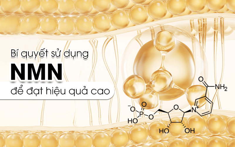 Bí kíp sử dụng NMN để đạt hiệu quả cao
