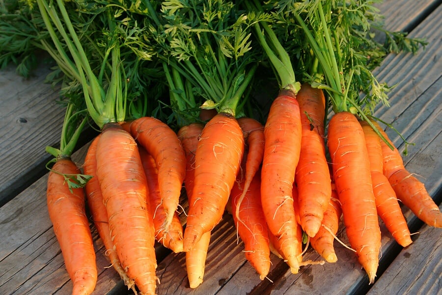 cà rốt chống ung thư