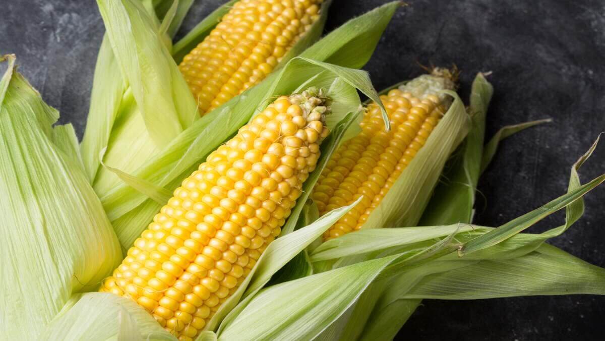 Chia sẻ cách bảo quản ngô ngọt để lâu và ngon