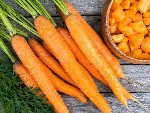 Chia sẻ cách bảo quản cà rốt sau thu hoạch tươi ngon nhất
