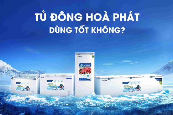 Các sản phẩm của Hòa Phát thường có thiết kế dạng tủ nằm, giúp tiết kiệm không gian và thuận tiện cho việc sắp xếp thức ăn