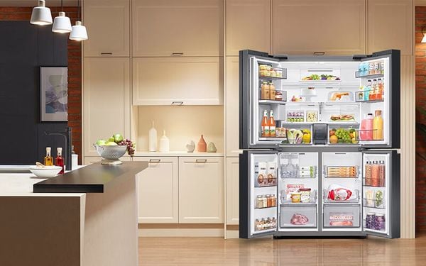 Tủ lạnh hai cánh là lựa chọn phổ biến nhất và thường được tìm thấy trong nhiều gia đình
