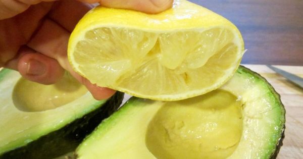 Bơ phải chín vừa đủ, không quá mềm hoặc quá cứng trước khi bảo quản trong tủ lạnh.